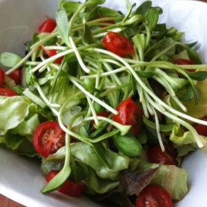 Sprouts, Butter Lettuce, Avocado and Cherry Tomato Salad